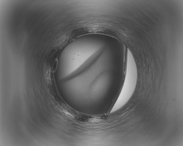 X0000054390219200508191947