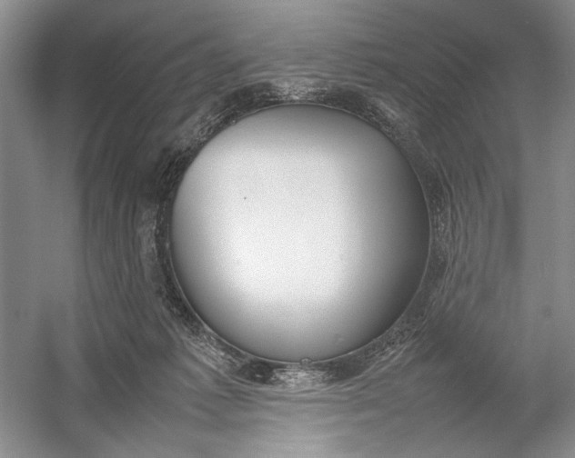 X0000054390221200508191947