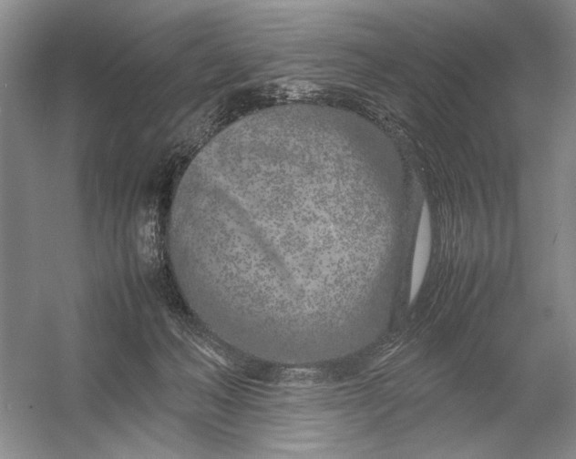 X0000054390222200508191947