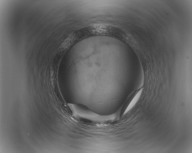 X0000054390223200508191947