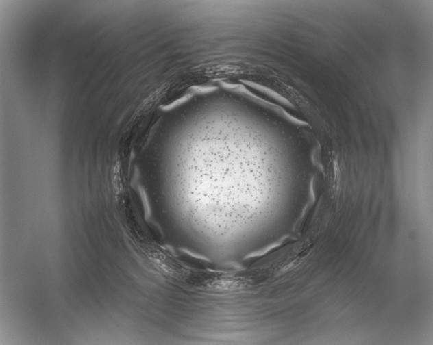X0000054390224200508191947