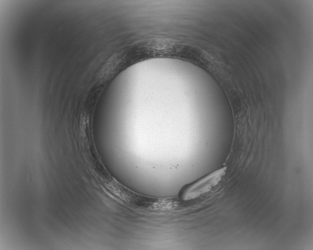 X0000054390225200508191947