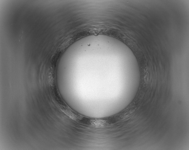X0000054390226200508191947