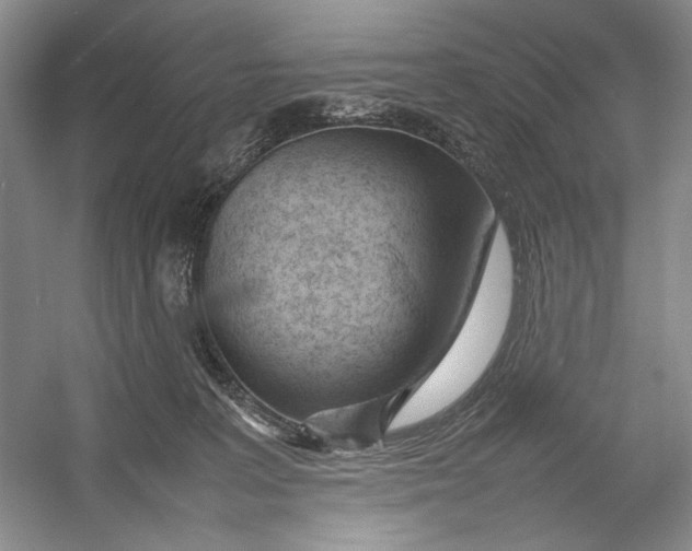 X0000054390227200508191947