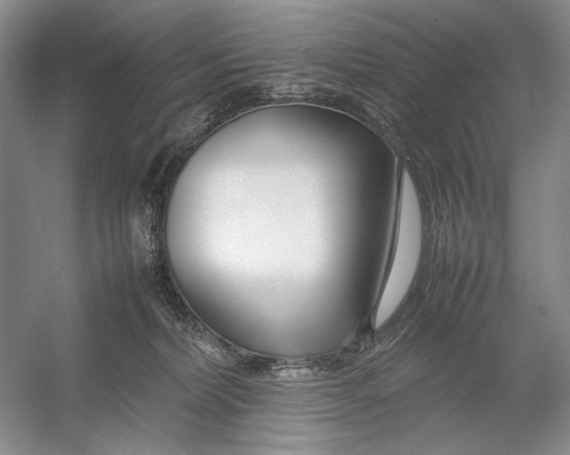 X0000054390228200508191947