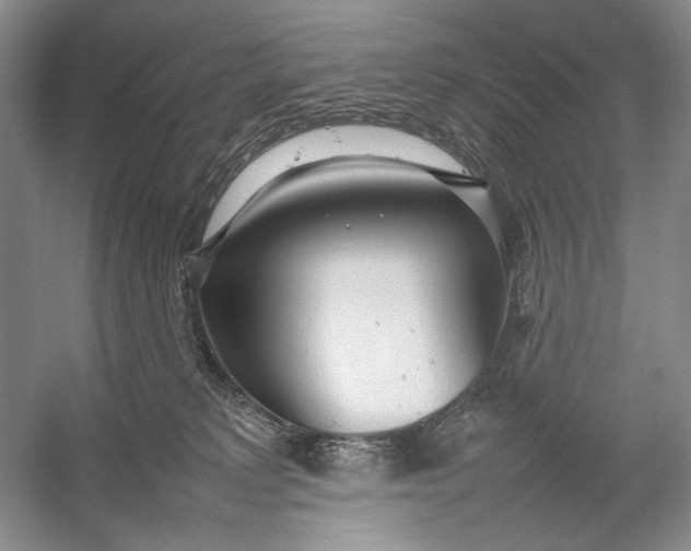 X0000054390229200508191947