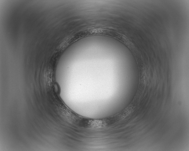 X0000054390230200508191947