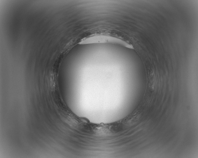 X0000054390232200508191947