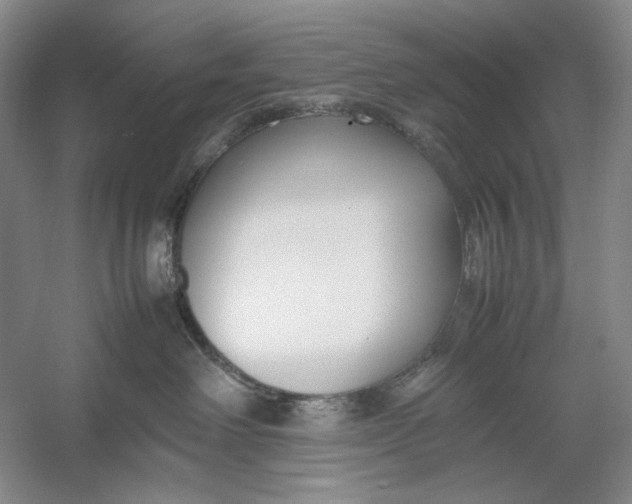 X0000054390238200508191947