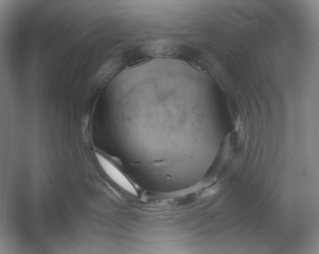 X0000054390239200508191947