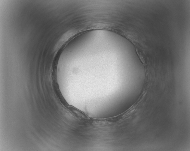 X0000054390242200508191946