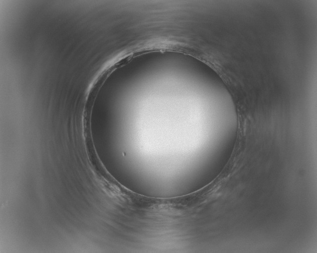 X0000054390244200508191946