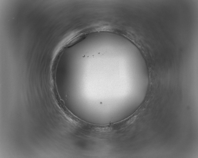 X0000054390245200508191946