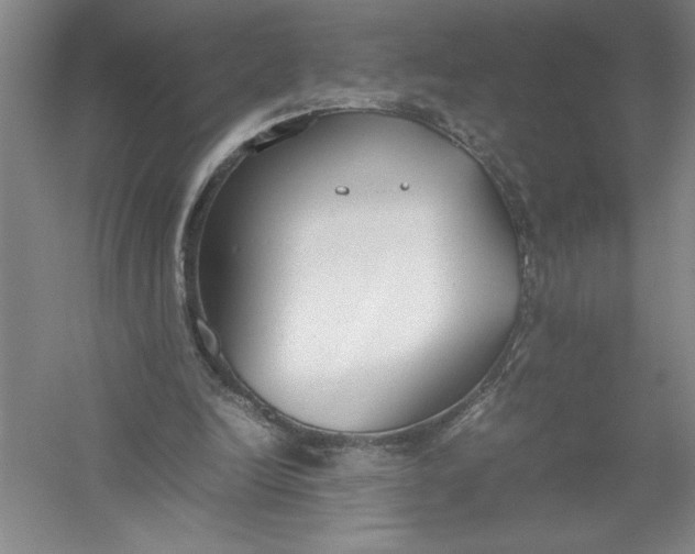 X0000054390246200508191946