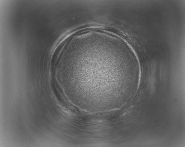 X0000054390247200508191946