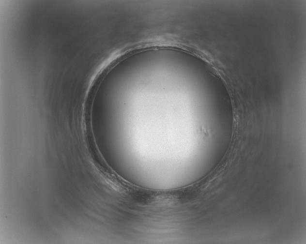 X0000054390248200508191946
