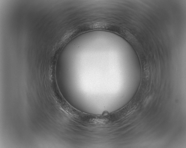X0000054390255200508191946