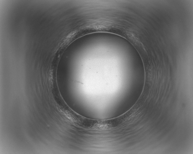 X0000054390260200508191946