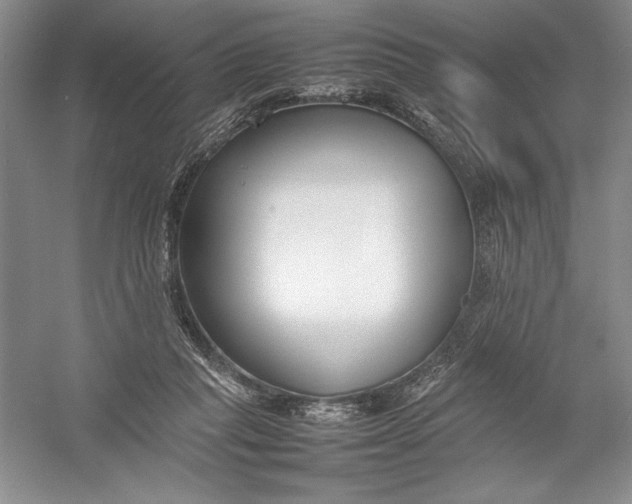X0000054390261200508191946