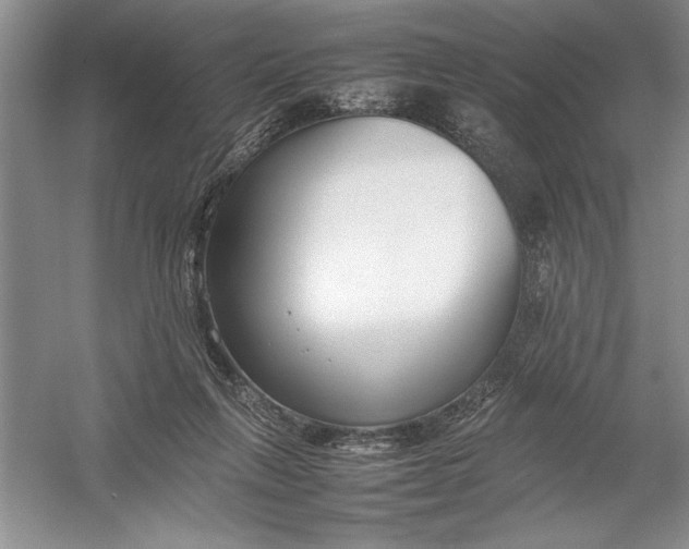 X0000054390263200508191946
