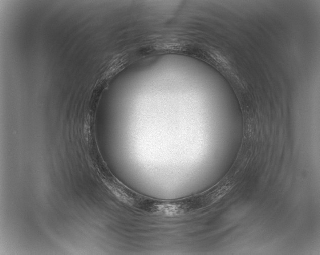 X0000054390265200508191946