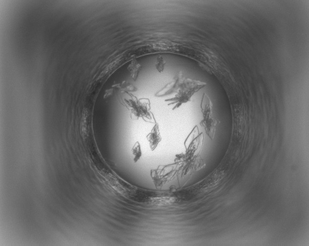 X0000054390266200508191946