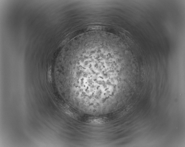 X0000054390267200508191946