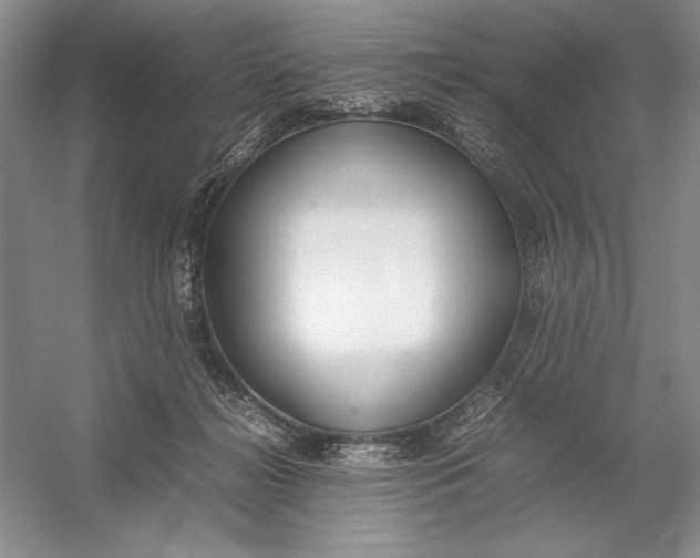 X0000054390268200508191946