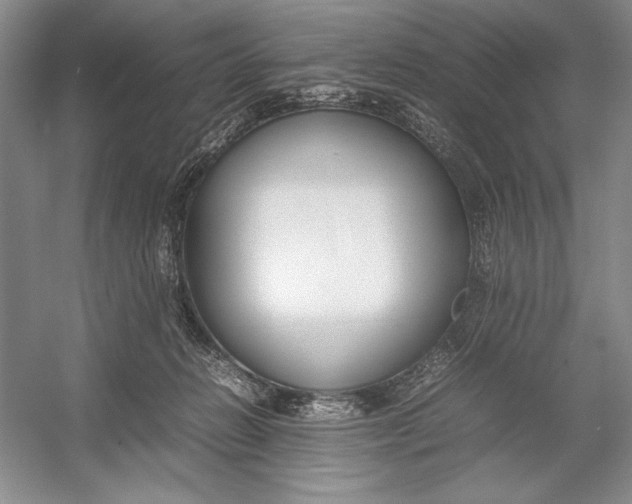 X0000054390270200508191946