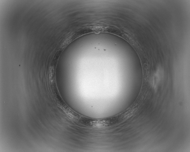 X0000054390273200508191947