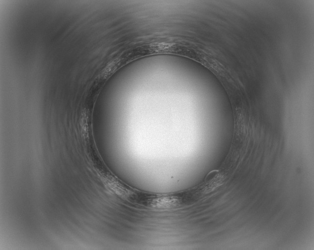 X0000054390274200508191947