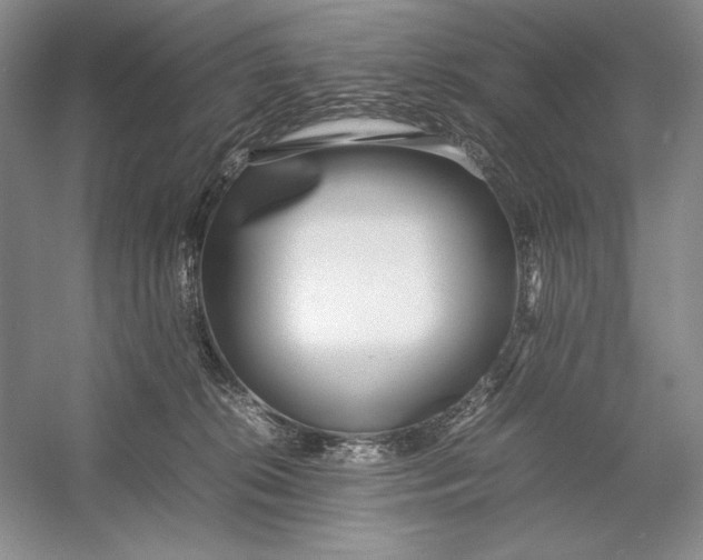 X0000054390276200508191947