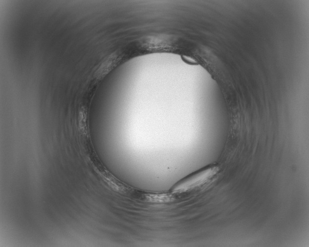 X0000054390281200508191947