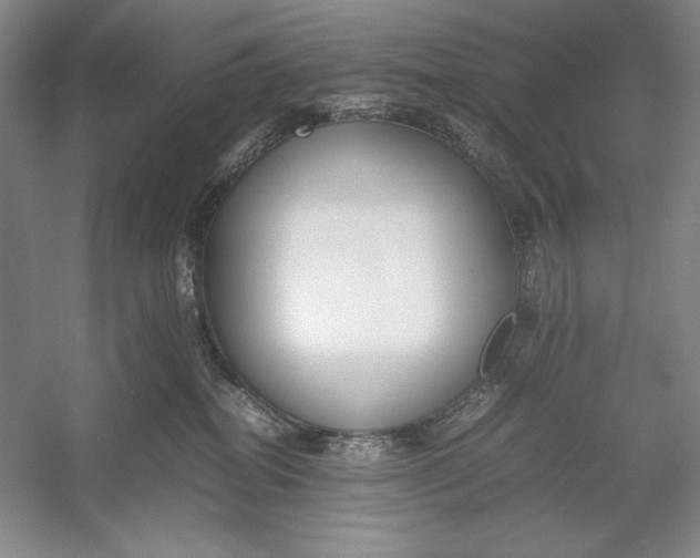 X0000054390282200508191947