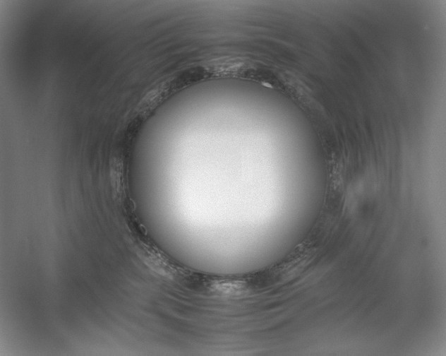 X0000054390283200508191947