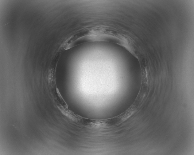 X0000054390284200508191947