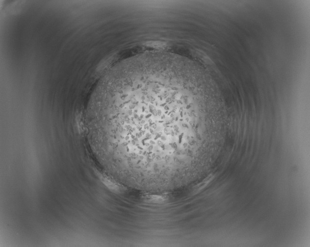 X0000054390285200508191947