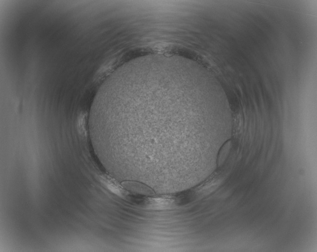 X0000054390286200508191947