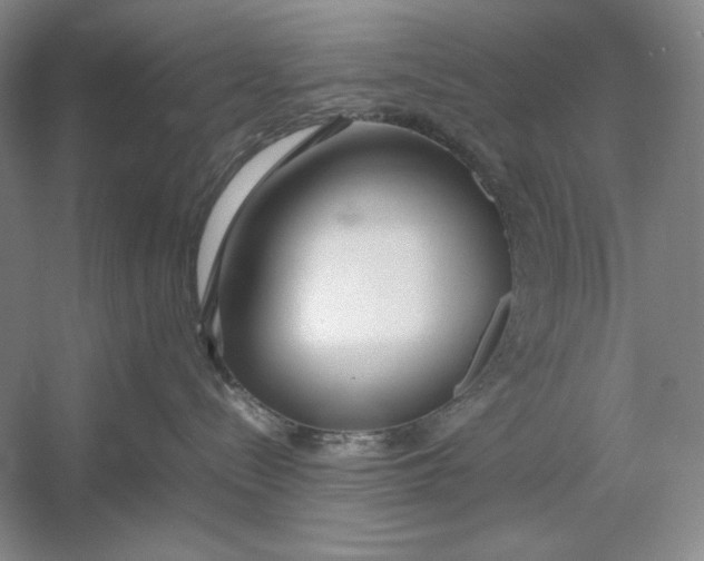 X0000054390288200508191947