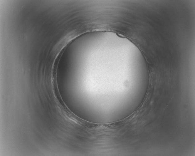 X0000054390290200508191946