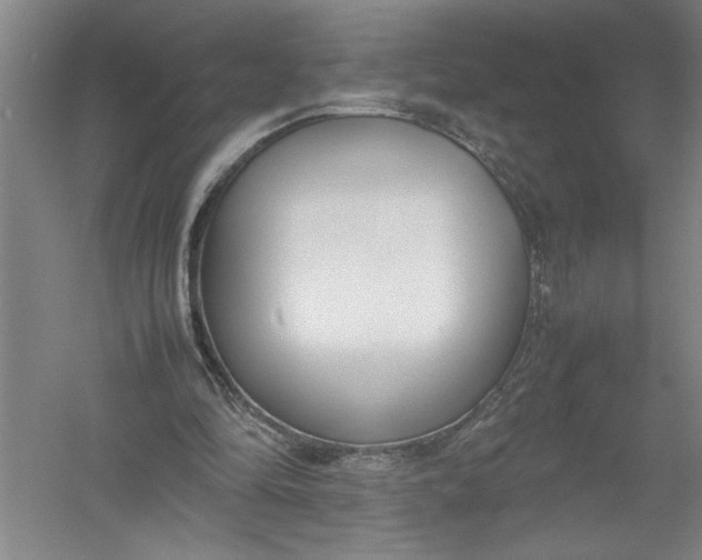 X0000054390294200508191946