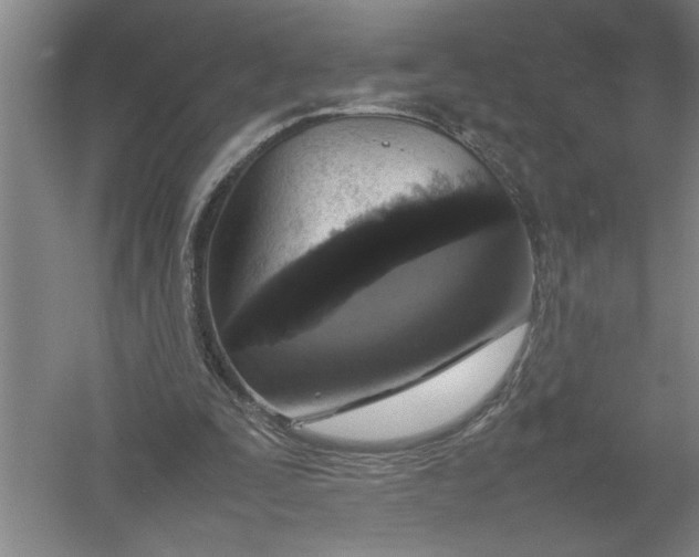 X0000054390295200508191946