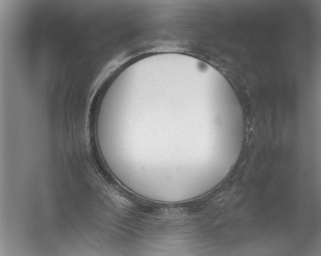 X0000054390296200508191946