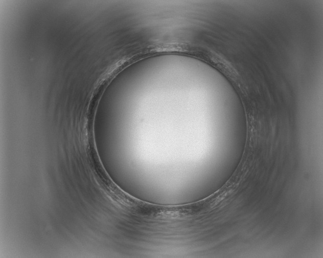 X0000054390298200508191946