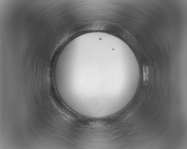 X0000054390300200508191946