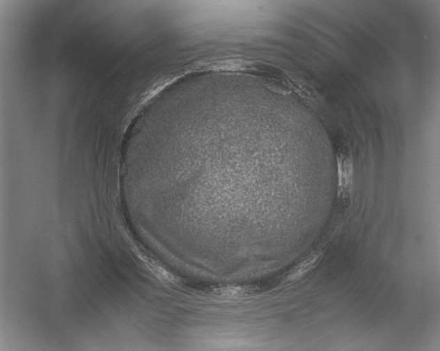 X0000054390301200508191946