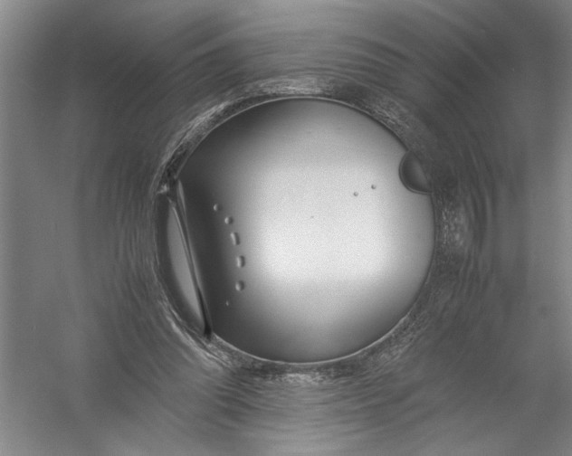 X0000054390302200508191946