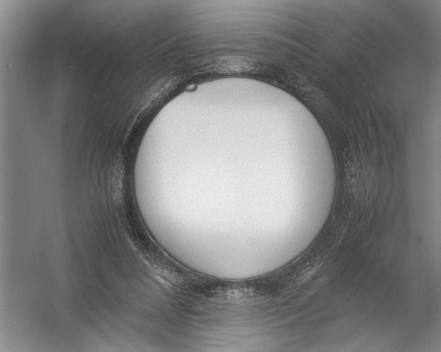 X0000054390304200508191946