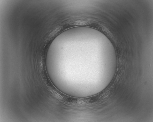 X0000054390305200508191946