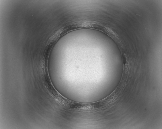 X0000054390306200508191946